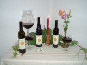 Blauer Bernburger Wein Jahrgang 2005